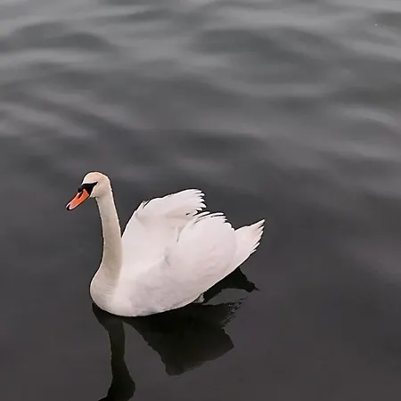 Blaxy Stefi 3* Douăzeci şi Trei August