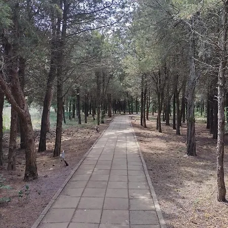 Blaxy Stefi Appart hôtel