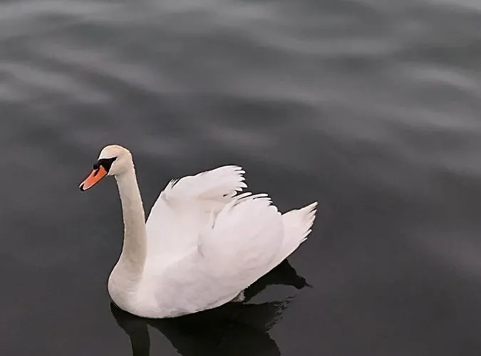 Blaxy Stefi 3* Douăzeci şi Trei August