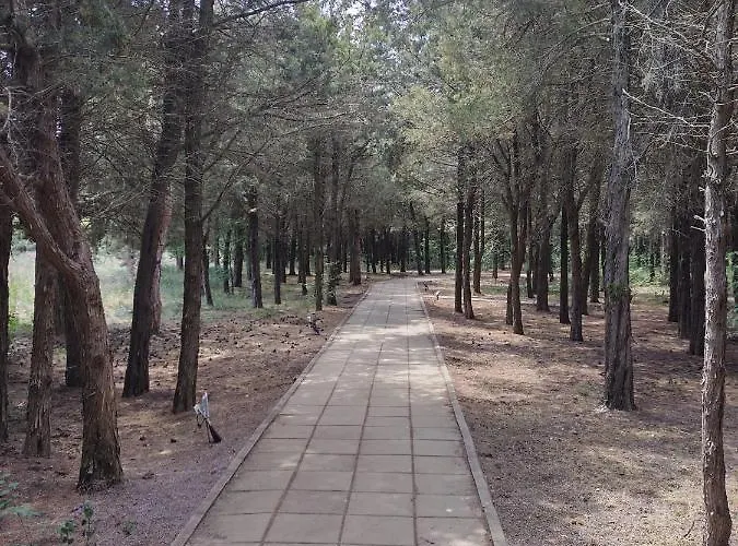 Blaxy Stefi 公寓式酒店