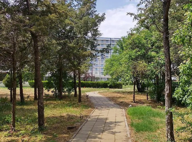 Blaxy Stefi Douăzeci şi Trei August